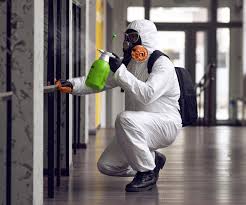 Why You Should Choose Our Mold Remediation Services in Holliday, TX