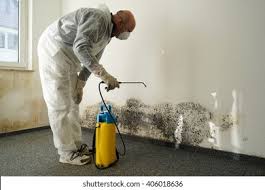 Reliable Holliday, TX Mold Prevention & Removal  Solutions